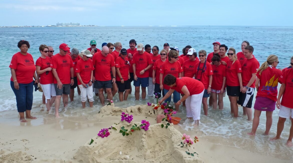 Solutions Group Events Team Building